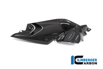Ilmberger Carbon Fibre Right Side Panel For BMW R 1250 R 2019-22